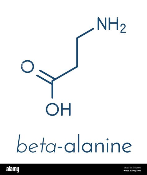beta alanina|BETA.